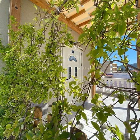 Kanto Vlorë